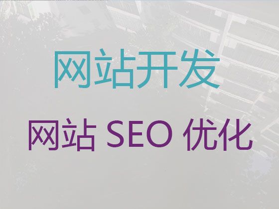 如皋市品牌网站开发设计%企业获客助手，优秀开发团队