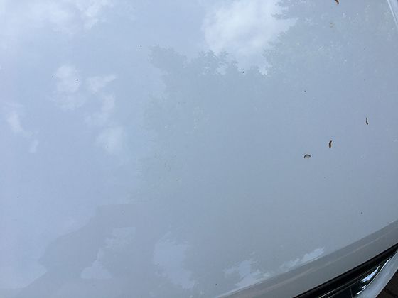 解析“贵州火流星事件”：陨石搜索队装备清单公开