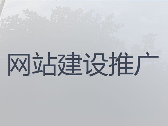 南充市网站开发建设服务%软件系统开发，多年建站经验
