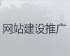南充市网站开发建设服务%软件系统开发，多年建站经验