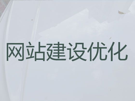丽水市高效获客@品牌网站开发设计，专业开发团队