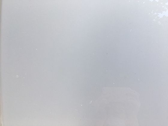 薄壳山核桃的营养价值：多种维生素与矿物质含量的科学分析