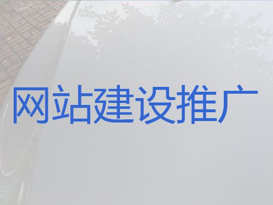 阜新市多语言网站开发%智能响应式网站建设，收费标准