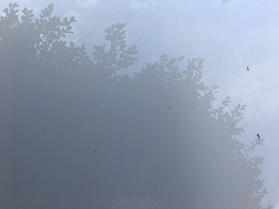 珊瑚虫的微观宇宙：探索这些神奇生物的独特生命形态
