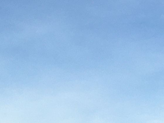 老虎条纹是“天然身份证”？独特花纹形成机制与个体识别