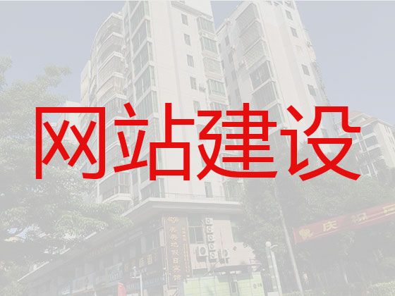 潮州市网站开发正规公司&SEO推广，专业团队