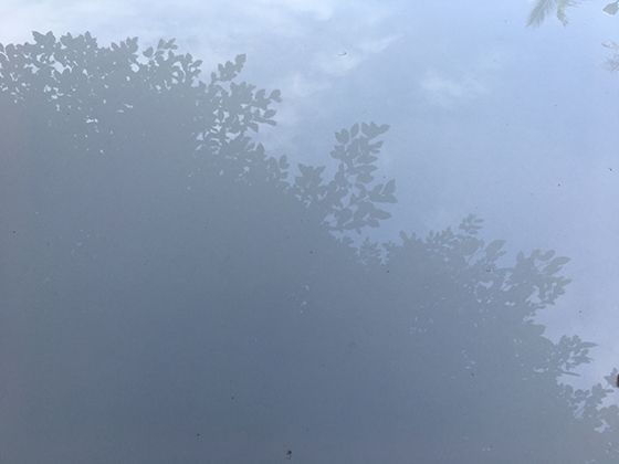 血压正常范围是多少