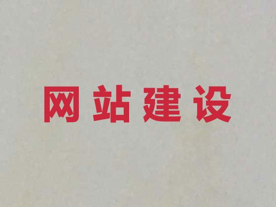 徐州市专业网站开发#精准获客软件，多年专业建站经验