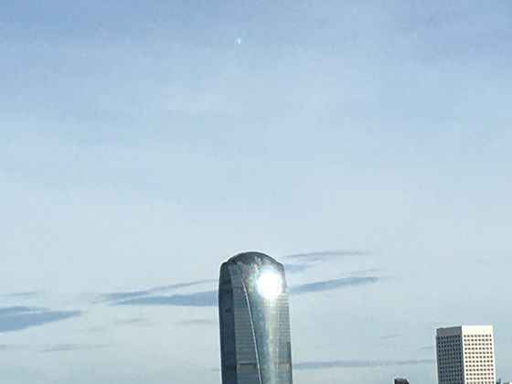 纸币细菌图鉴：培养皿接触培养实验