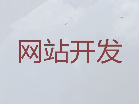 衡阳市网站开发&苹果app开发，专业团队